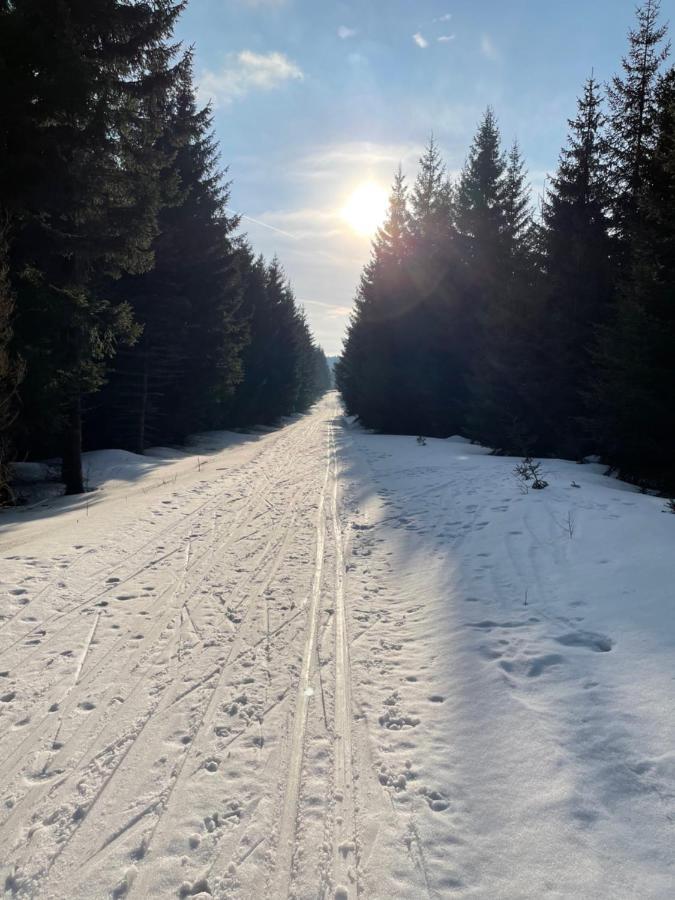 Ski Klinovec Loucná pod Klínovcem Exterior foto