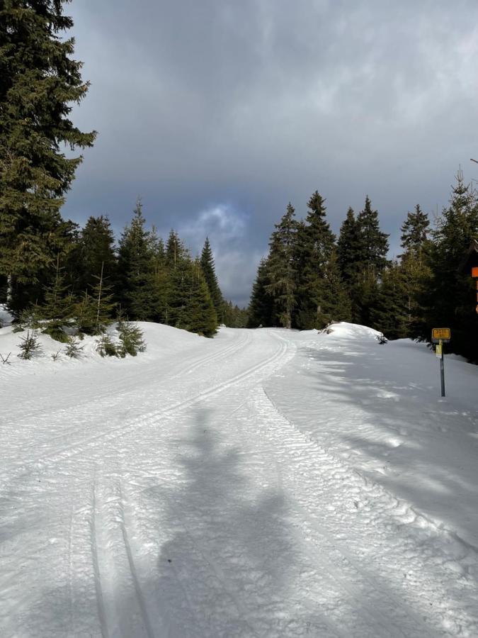 Ski Klinovec Loucná pod Klínovcem Exterior foto